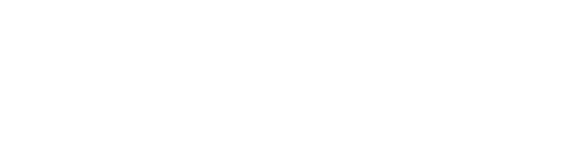 绽放青春活力